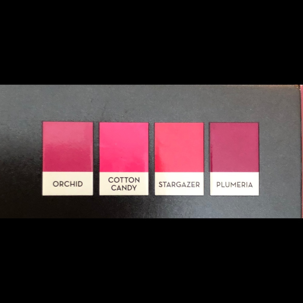 Anastasia lipstick 💜bundle $5 for $20💜 - Picture 3 of 3